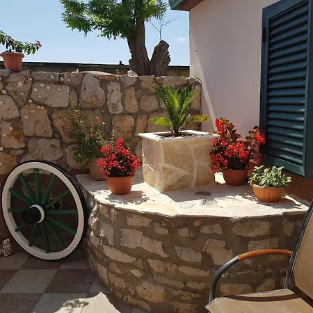 Liljana Privlaka (Zadar)